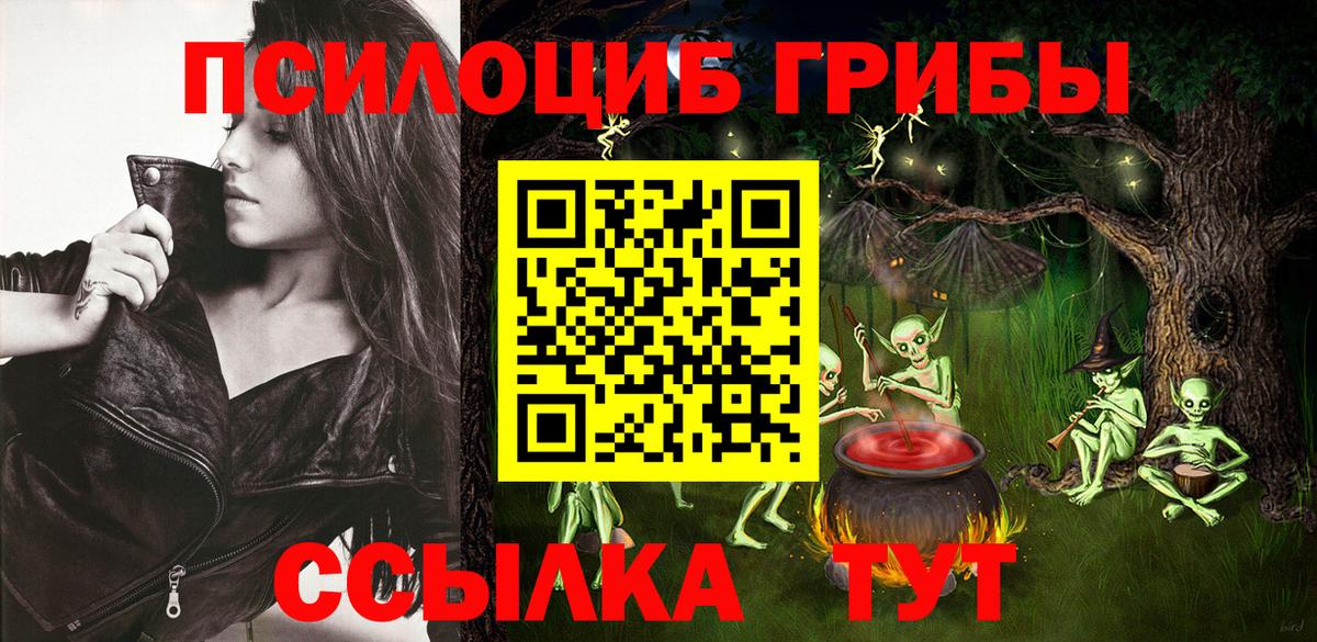 Галлюциногенные грибы GOLDEN TEACHER  Псилоцибиновые грибы мицелий  Ногинск  Вход с VPN 