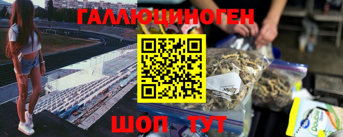Псилоцибиновые грибы мухоморы Ногинск